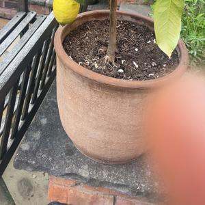 B!tch 2 (feat. Arthur)