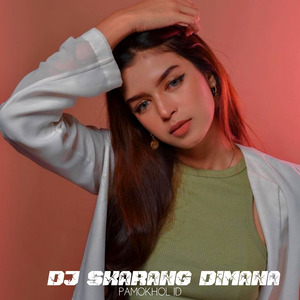Dj Skarang Dimana