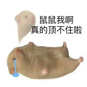 06北方生于春