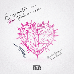 Enquanto Eu Não Tenho Você