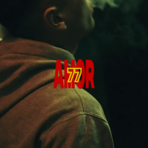 Amor 77