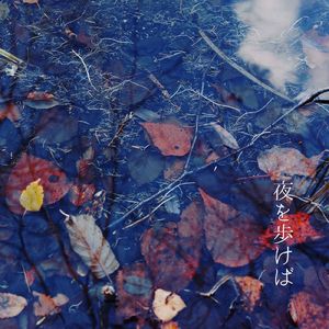 夜を歩けば
