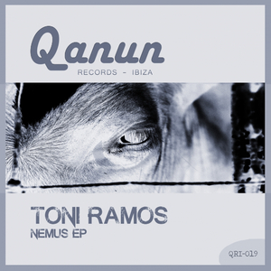 Nemus (Original Mix)