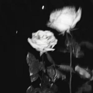 100 acres (feat. YAD SHAWN)