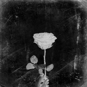 Fragile Frame (feat. Dom Cuzzo)