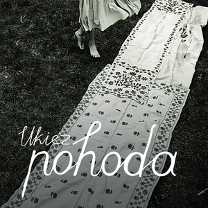 Цвіте Терен