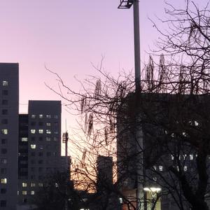 其实（cover薛先生）