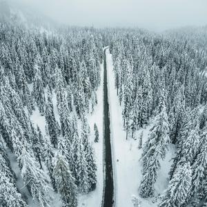 Hai Sus Cea mai tare Petrecere