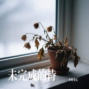 未完成的诗