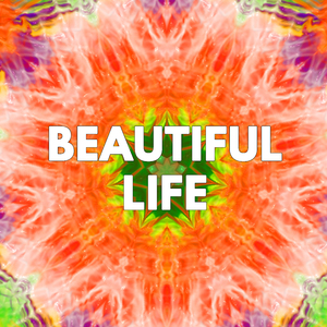 Beautiful Life
