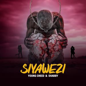 SIYAWEZI (feat. Shabby)