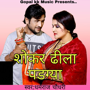 शोकर ढीला पडग्या