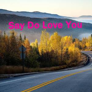 Say Do Love You