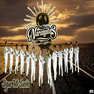 Corrido De Liz La Veracruzana