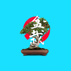 Bonsai