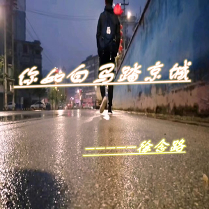 你如白马踏京城