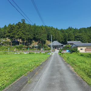 いつか見たまっすぐな道～秩父三番常泉寺によせて〜