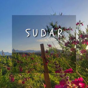 Sudar