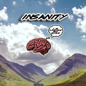 Insanity (feat. Size Killa)