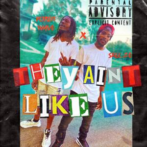 They Aint Like Us
