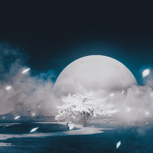 离殇（Cover 王瑞淇）