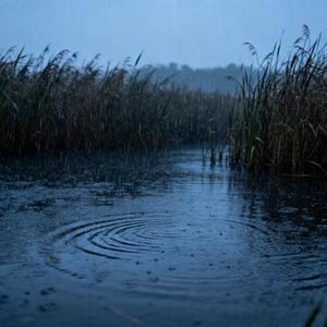 明明你没有打火机