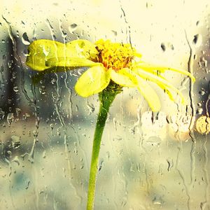 精彩放松的环境