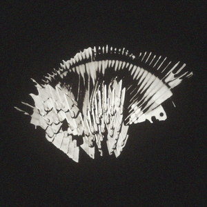 Anx (Type-S MIX)