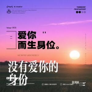 没有爱你的身份
