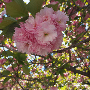 帰りを待つ彼女の気持ち