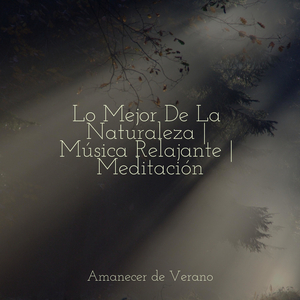 Sueño Brumoso en Movimiento