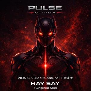 Hay Say(Original Mix)