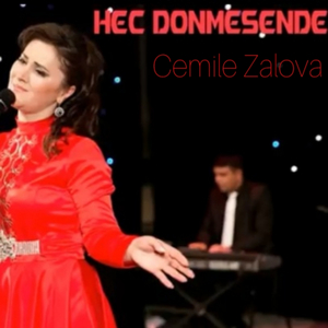 Heç Dönmesende