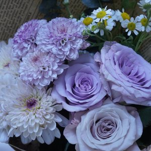 我裹了裹去年的旧外套像是去年的拥抱