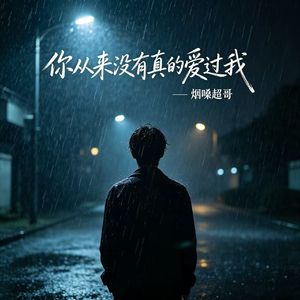 你从来没有真的爱过我