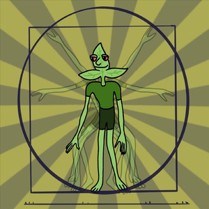 Tin Tararero