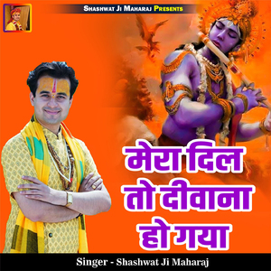 Mera Dil To Diwana Ho Gaya