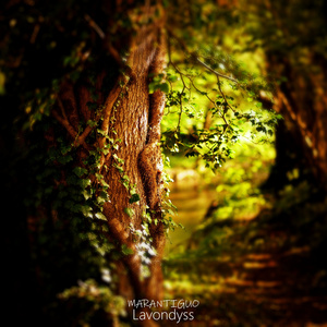 Lavondyss (Instrumental Version)