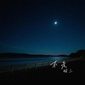 不走（拾三 Remix）