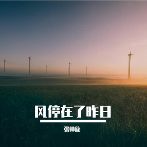 风停在了昨日