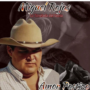 Amor Postizo