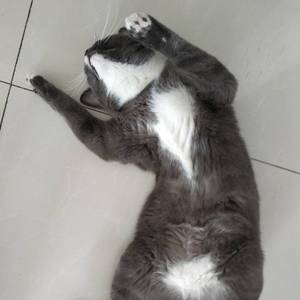 百字令·家国（翻自 JMJ）