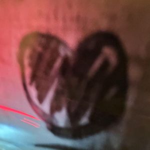 i thought（我总以为）