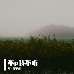 为时已晚（翻唱片段）