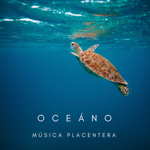 Canciones Saladas