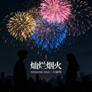 灿烂烟火