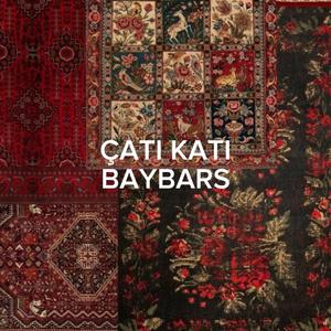 Çatı Katı
