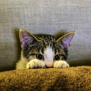 Dormir Mejor (Original Mix)