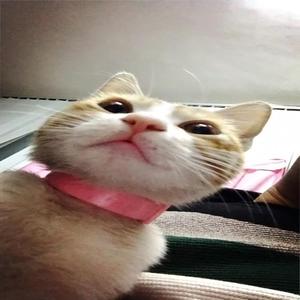 黄龄-叹(越南鼓)（残烟轻思 ）