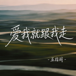 爱我就跟我走（抖音热播版）